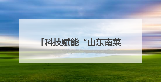 科技赋能“山东南菜园”，这家合作社年育菜苗2.2亿株