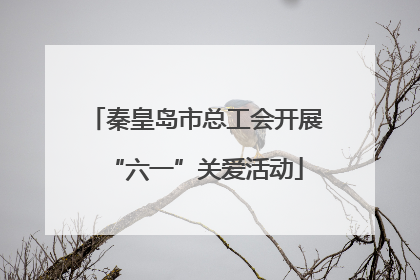 秦皇岛市总工会开展“六一”关爱活动