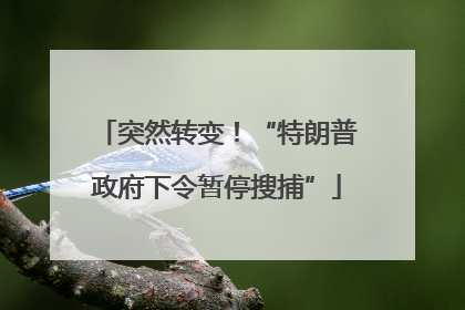 突然转变！“特朗普政府下令暂停搜捕”
