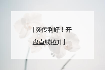 突传利好！开盘直线拉升