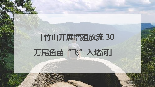 竹山开展增殖放流 30万尾鱼苗“飞”入堵河
