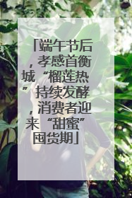 端午节后，孝感首衡城“榴莲热”持续发酵，消费者迎来“甜蜜”囤货期