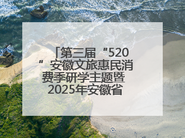 第三届“520”安徽文旅惠民消费季研学主题暨 2025年安徽省“四季村歌”特色展演燃动池州
