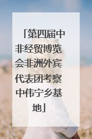 第四届中非经贸博览会非洲外宾代表团考察中伟宁乡基地