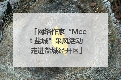网络作家“Meet 盐城”采风活动走进盐城经开区