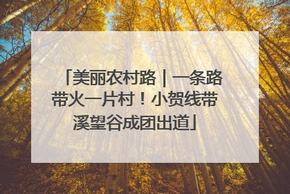 美丽农村路｜一条路带火一片村！小贺线带溪望谷成团出道