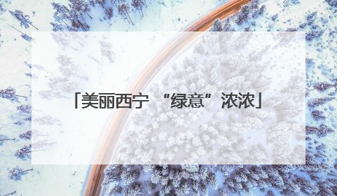 美丽西宁 “绿意”浓浓