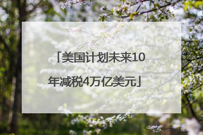 美国计划未来10年减税4万亿美元