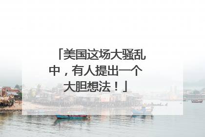 美国这场大骚乱中，有人提出一个大胆想法！
