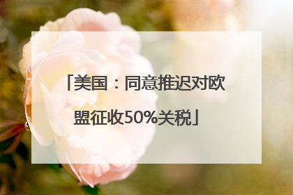 美国：同意推迟对欧盟征收50%关税