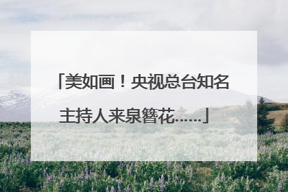 美如画！央视总台知名主持人来泉簪花……