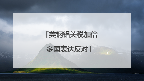 美钢铝关税加倍 多国表达反对