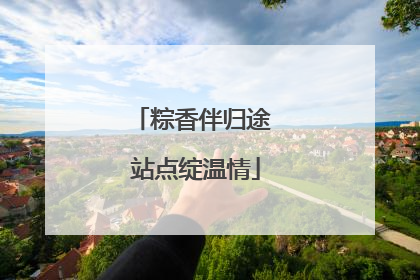 粽香伴归途 站点绽温情