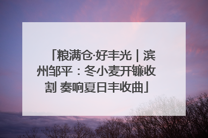 粮满仓·好丰光｜滨州邹平：冬小麦开镰收割 奏响夏日丰收曲