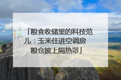 粮食收储里的科技范儿：玉米住进空调房 粮仓披上隔热罩