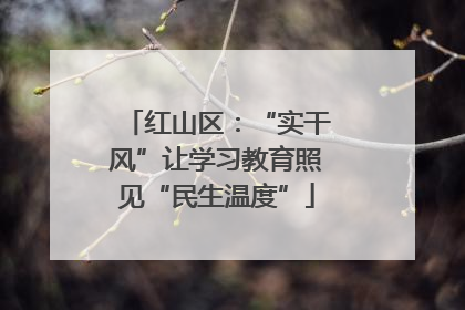 红山区：“实干风”让学习教育照见“民生温度”