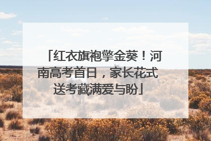 红衣旗袍擎金葵！河南高考首日，家长花式送考藏满爱与盼