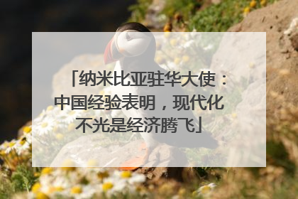 纳米比亚驻华大使：中国经验表明，现代化不光是经济腾飞