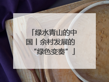 绿水青山的中国丨余村发展的“绿色变奏”