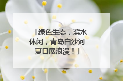 绿色生态，滨水休闲，青岛白沙河夏日展浪漫！