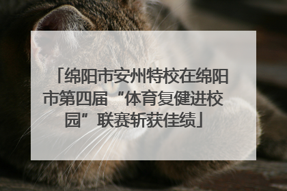 绵阳市安州特校在绵阳市第四届“体育复健进校园”联赛斩获佳绩