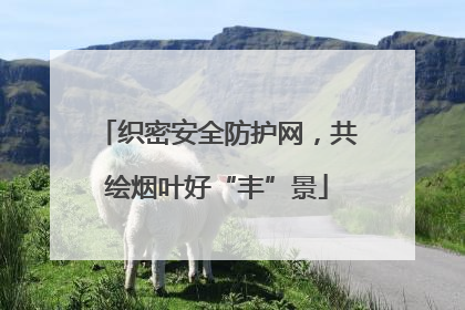织密安全防护网，共绘烟叶好“丰”景