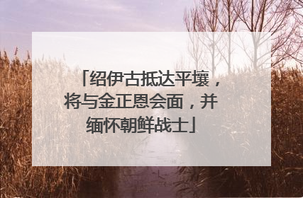 绍伊古抵达平壤，将与金正恩会面，并缅怀朝鲜战士