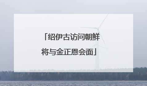 绍伊古访问朝鲜 将与金正恩会面