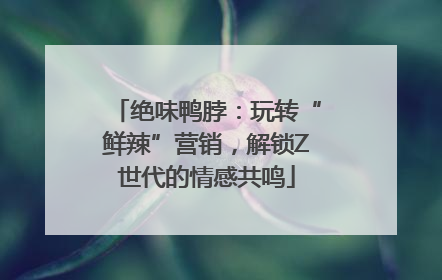 绝味鸭脖：玩转“鲜辣”营销，解锁Z世代的情感共鸣