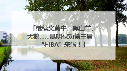继续奖黄牛、黑山羊、大鹅……昆明禄劝第三届“村BA”来啦！