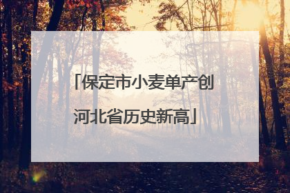保定市小麦单产创河北省历史新高