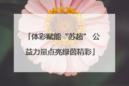 体彩赋能“苏超” 公益力量点亮绿茵精彩