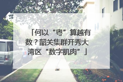 何以“粤”算越有数？韶关集群开秀大湾区“数字肌肉”