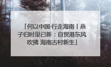 何以中国·行走海南丨燕子归时巢已新：自贸港东风吹拂 海南古村新生