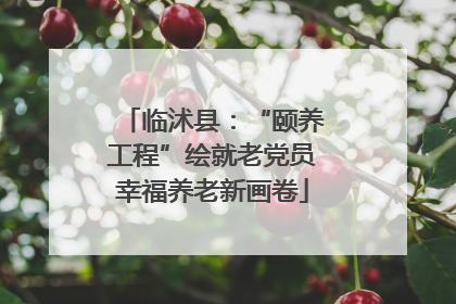 临沭县：“颐养工程”绘就老党员幸福养老新画卷