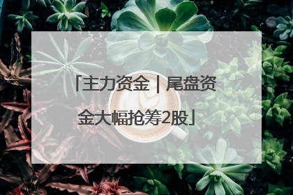主力资金｜尾盘资金大幅抢筹2股