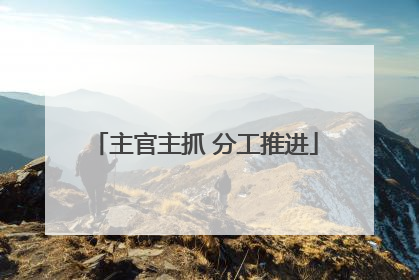 主官主抓 分工推进