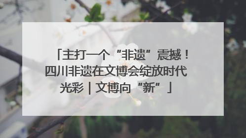 主打一个“非遗”震撼！四川非遗在文博会绽放时代光彩｜文博向“新”