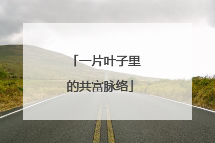 一片叶子里的共富脉络