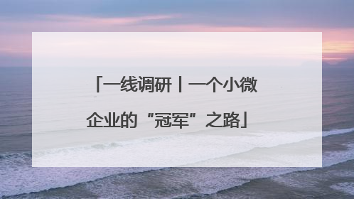 一线调研丨一个小微企业的“冠军”之路