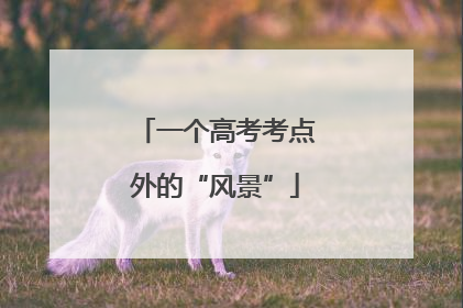 一个高考考点外的“风景”