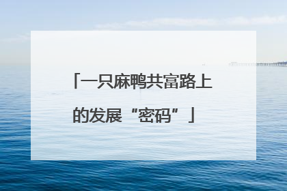 一只麻鸭共富路上的发展“密码”
