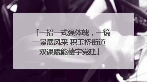 一招一式强体魄，一镜一景展风采 积玉桥街道双课赋能楼宇党建