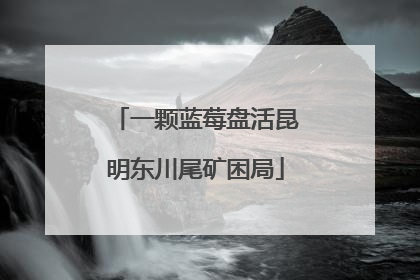 一颗蓝莓盘活昆明东川尾矿困局