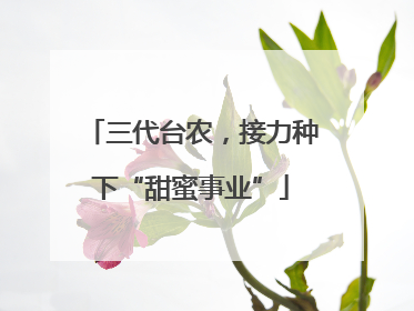 三代台农，接力种下“甜蜜事业”