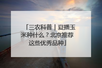 三农科普｜夏播玉米种什么？北京推荐这些优秀品种