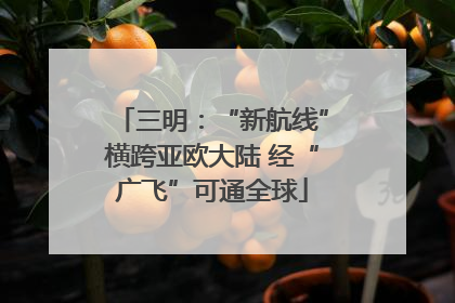 三明：“新航线”横跨亚欧大陆 经“广飞”可通全球