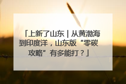 上新了山东｜从黄渤海到印度洋，山东版“零碳攻略”有多能打？