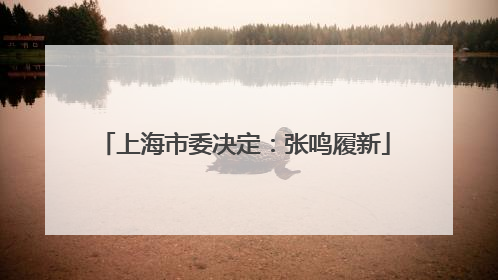 上海市委决定：张鸣履新