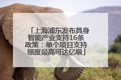 上海浦东发布具身智能产业支持16条政策：单个项目支持额度最高可达亿级